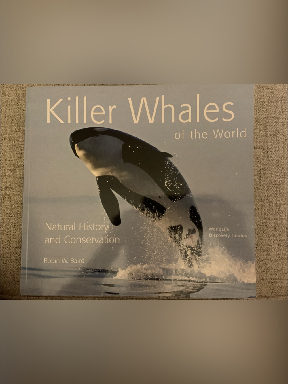 Killer Whales of the World by - Black and Gray